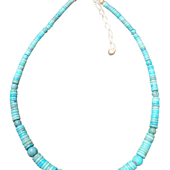 Jay King DTR Graduated Turquoise Disks Sterling Silver Necklace 18-21" - Picture 2 of 5